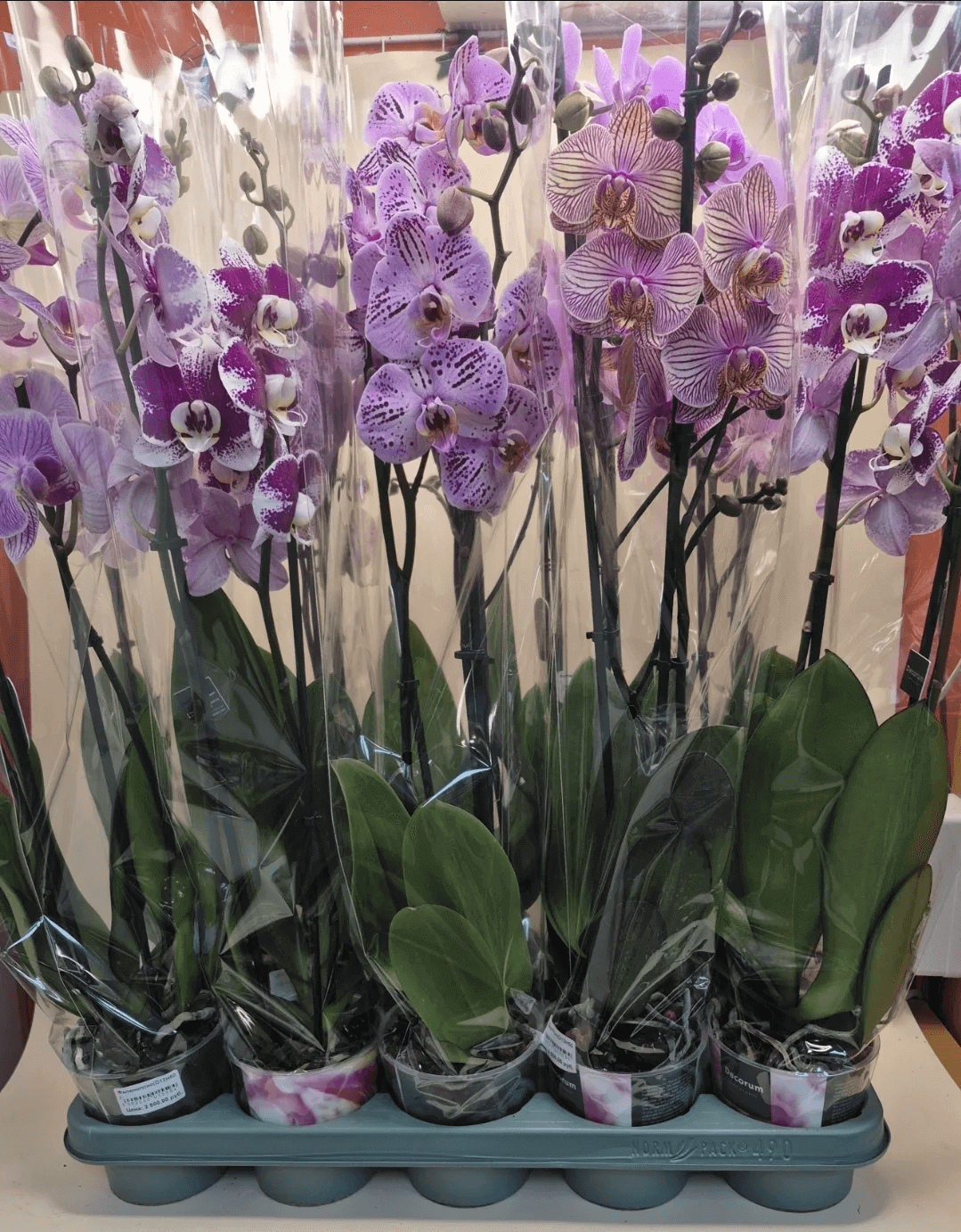 Изображение товара