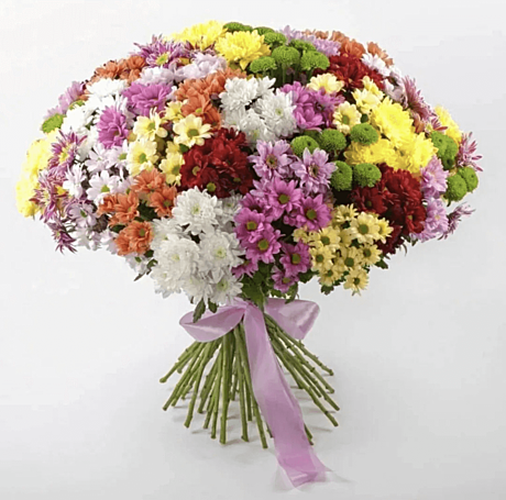 Хризантема(51 шт)