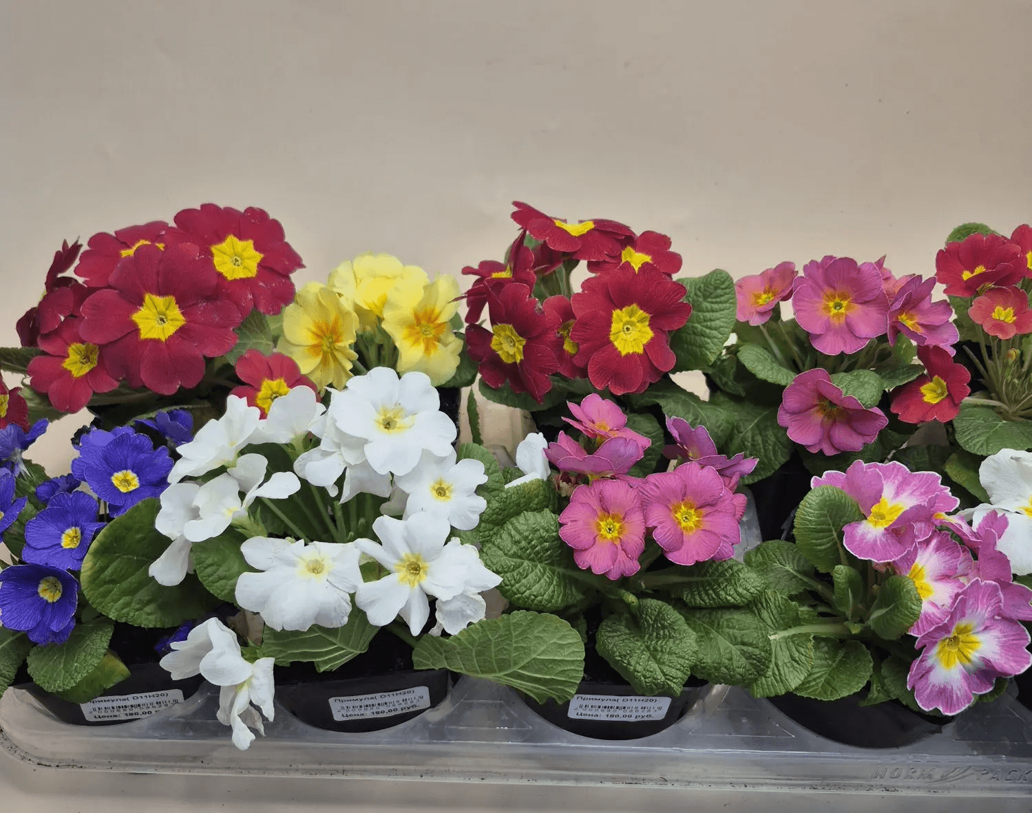 Изображение товара